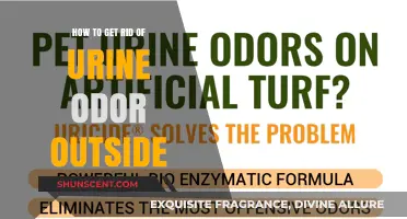 Effective Ways to Eliminate Urine Odor Outdoors