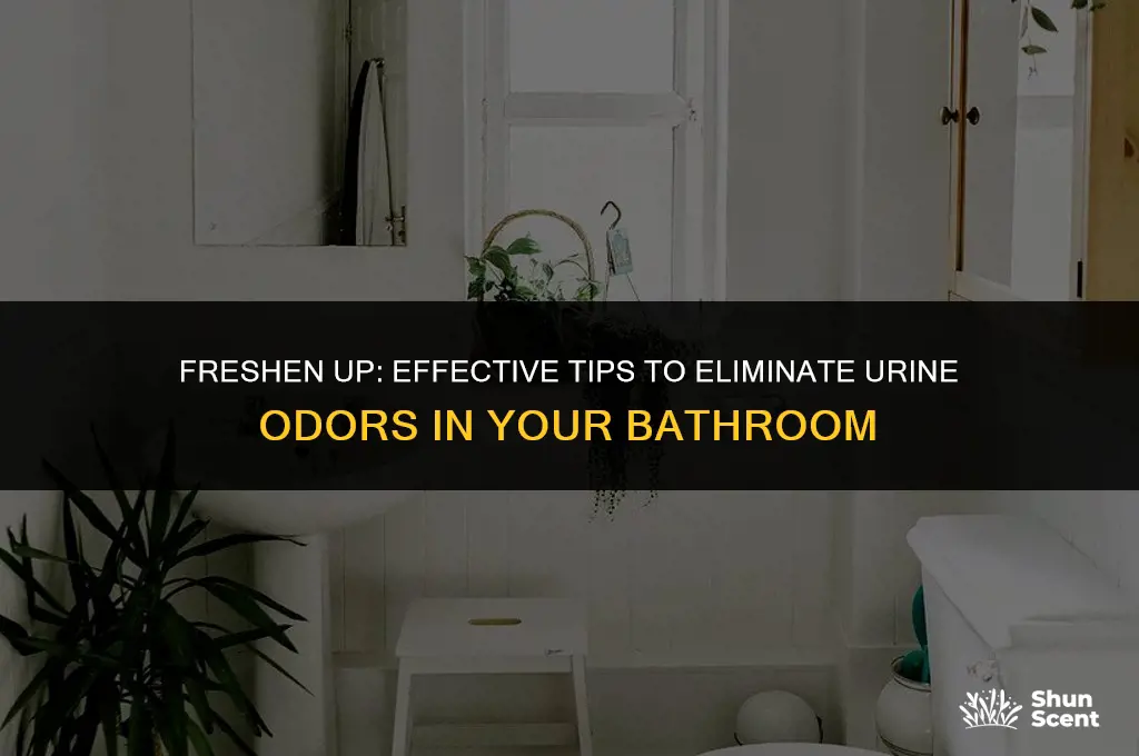 how to get rid of urine odors in bathroom