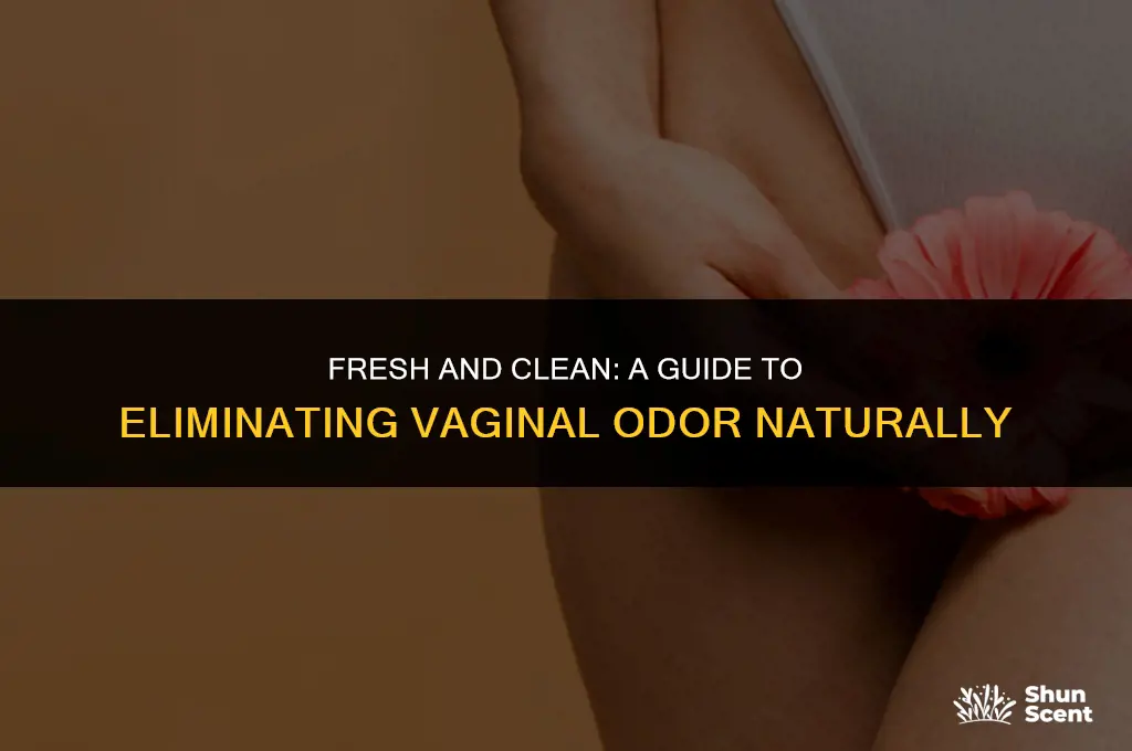 how to get rid of vigina odor