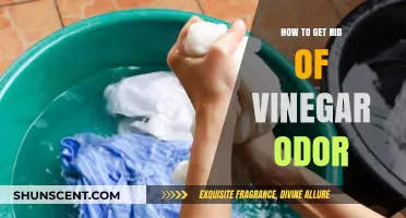 Eliminating Vinegar Odor: Effective Tips and Tricks