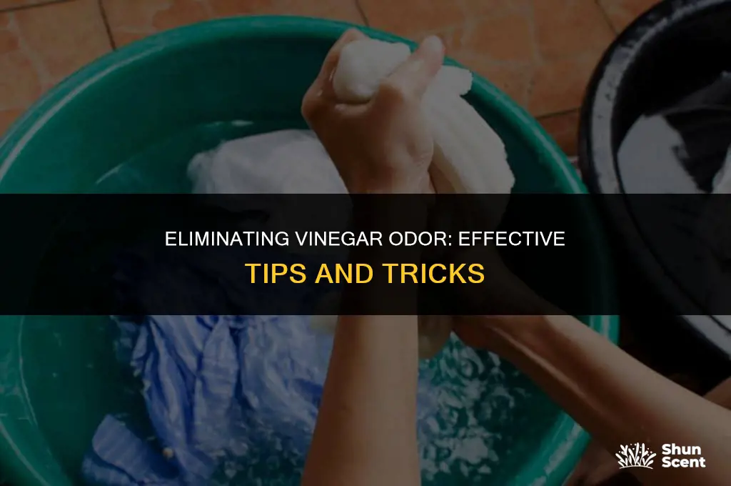 how to get rid of vinegar odor