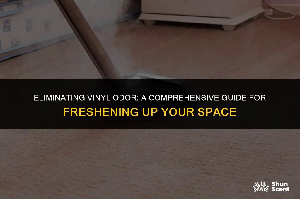 how to get rid of vinyl odor