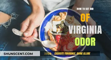 Freshen Up Your Space: A Guide to Eliminating Virginia Odor