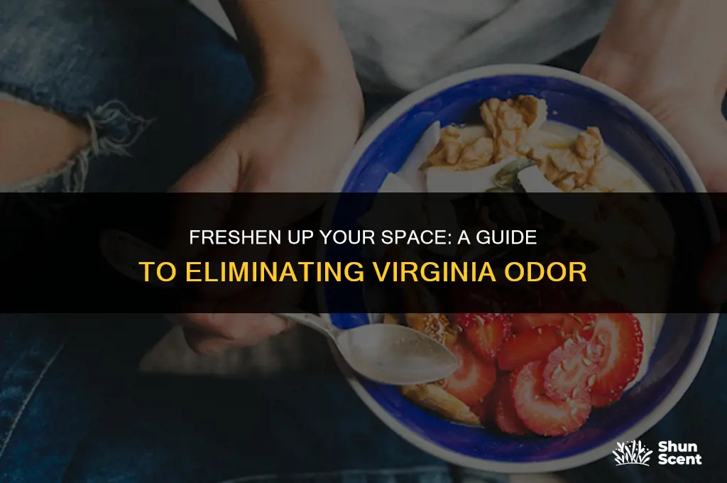 how to get rid of virginia odor