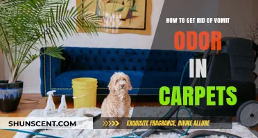 Freshen Up Your Home: Effective Tips to Eliminate Vomit Odor from Carpets