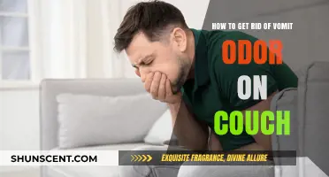 Freshen Up Your Space: Effective Tips to Eliminate Vomit Odor from Your Couch