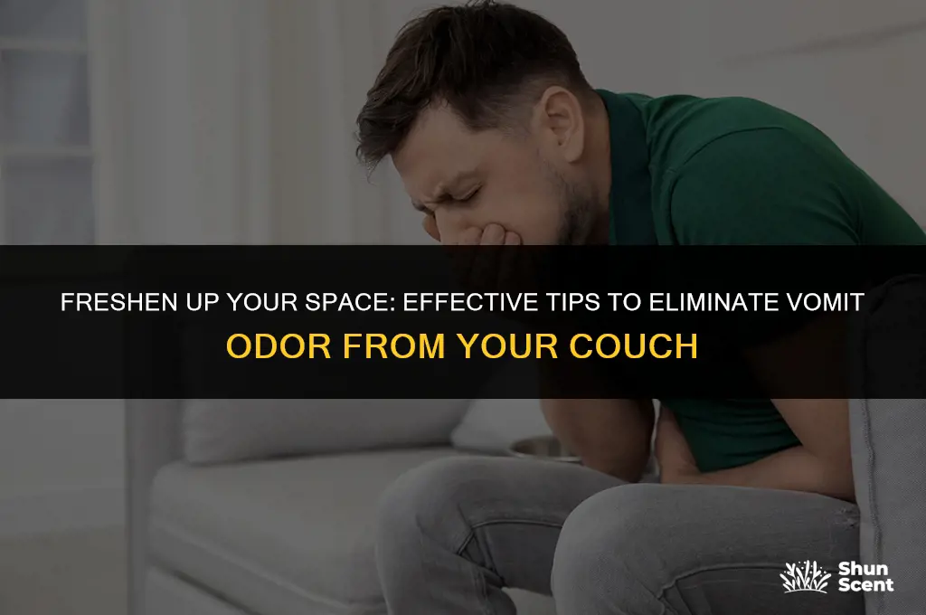how to get rid of vomit odor on couch