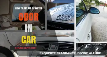 Freshen Up Your Ride: Eliminating Water Odor in Your Car