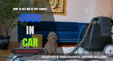 Eliminate Pesky Wet Carpet Smell from Your Car Interior