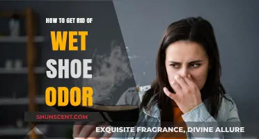 Banish Wet Shoe Odor: A Comprehensive Guide to Fresh Footwear