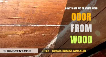 Eliminating White Mold Odor from Wood: A Comprehensive Guide