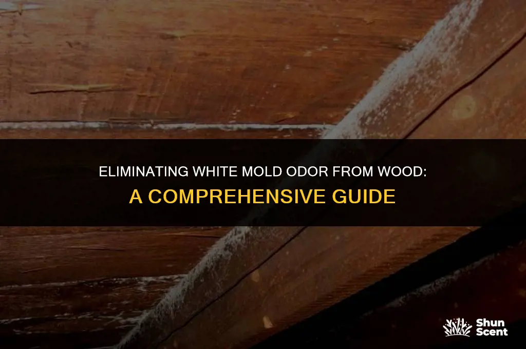 how to get rid of white mold odor from wood