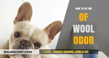 Freshen Up Your Woolens: A Guide to Odor Elimination