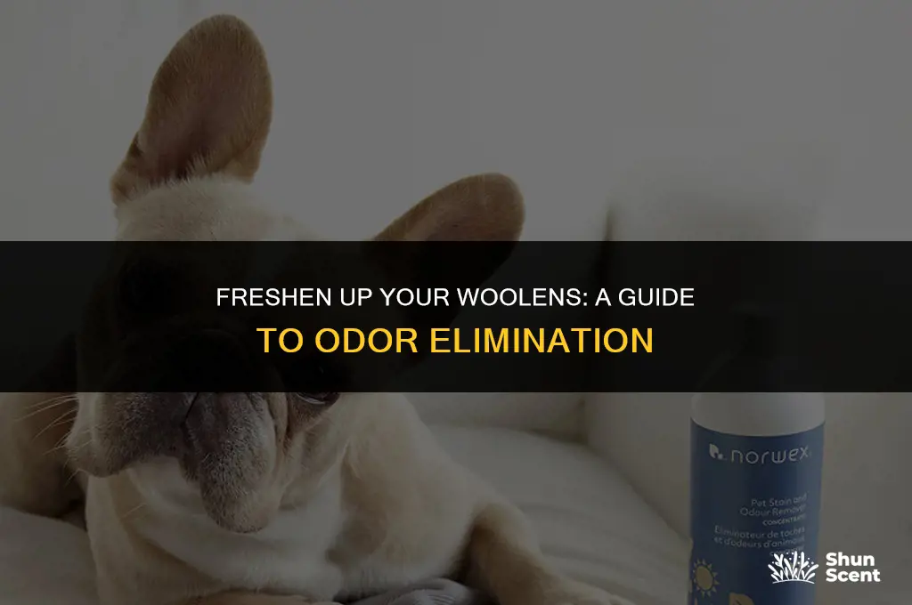how to get rid of wool odor