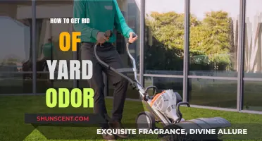 Freshen Up Your Yard: A Guide to Eliminating Unpleasant Odors