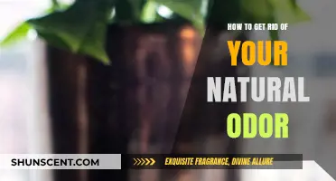 Freshen Up Naturally: A Guide to Managing Body Odor