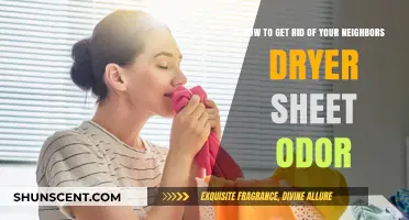 Fresh Air, Fresh Laundry: Defeating Dryer Sheet Odor Next Door