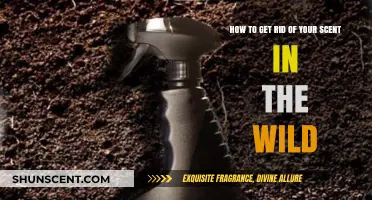 Mastering Stealth: Eliminate Your Scent in the Wild for Survival