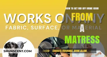 Freshen Up Your Mattress: A Guide to Removing Urine Odor