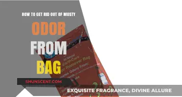 Freshen Up Your Bag: A Guide to Eliminating Musty Odors