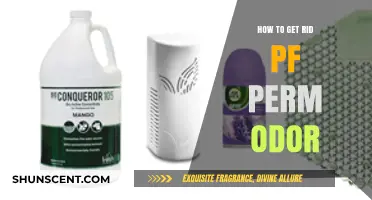 Freshen Up Your Space: A Guide to Eliminating Persistent Odors