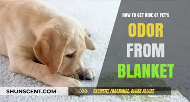 Freshen Up Your Blankets: A Guide to Removing Pet Odors
