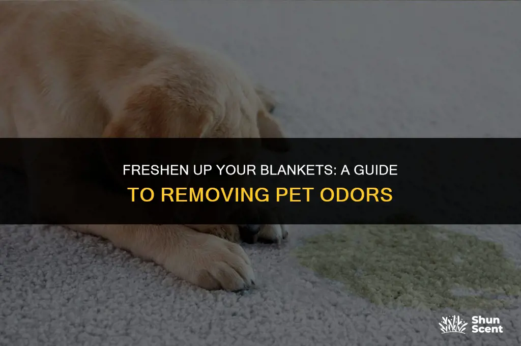 how to get ride of pet