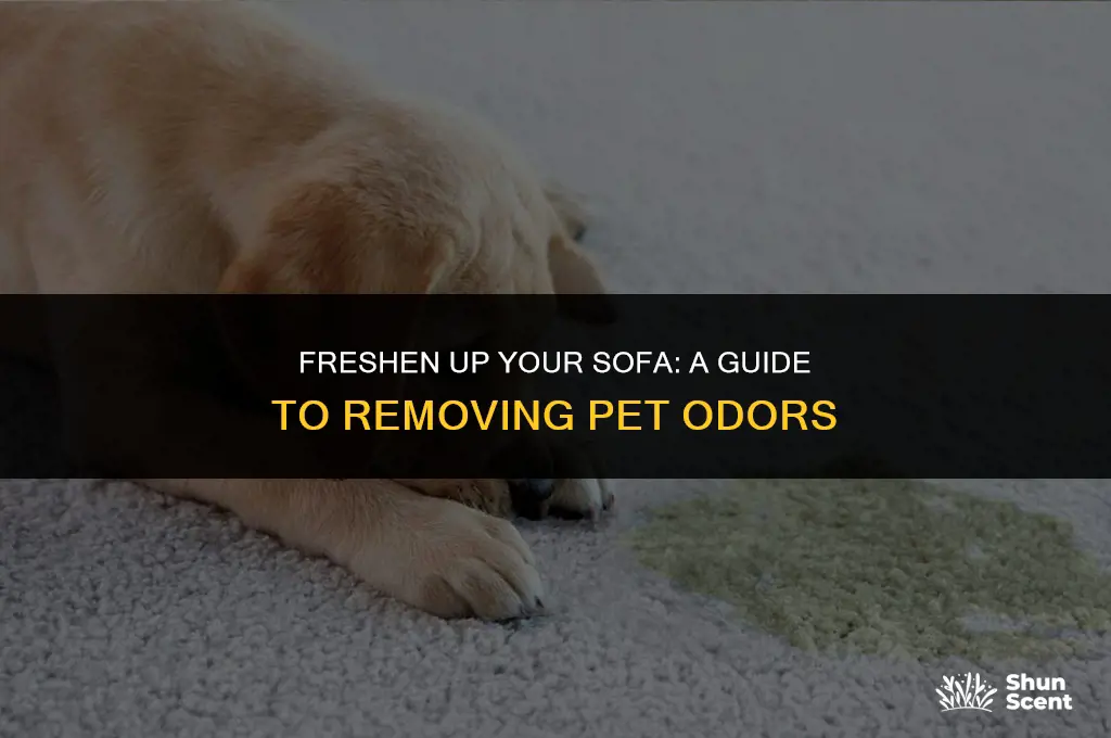 how to get ride of pet