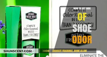 Fresh Steps: A Comprehensive Guide to Eliminating Shoe Odor