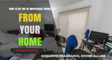 Banish Stubborn Odors: A Comprehensive Guide to Freshening Your Home