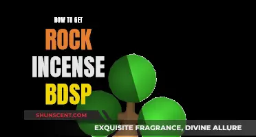 Obtaining Rock Incense in Pokémon BDSP