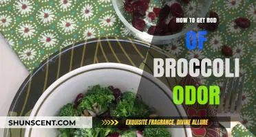 Freshen Up Your Kitchen: A Guide to Eliminating Broccoli Odor