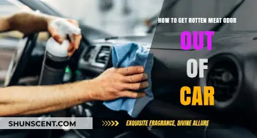 Eliminating Rotten Meat Odor from Your Car: A Comprehensive Guide