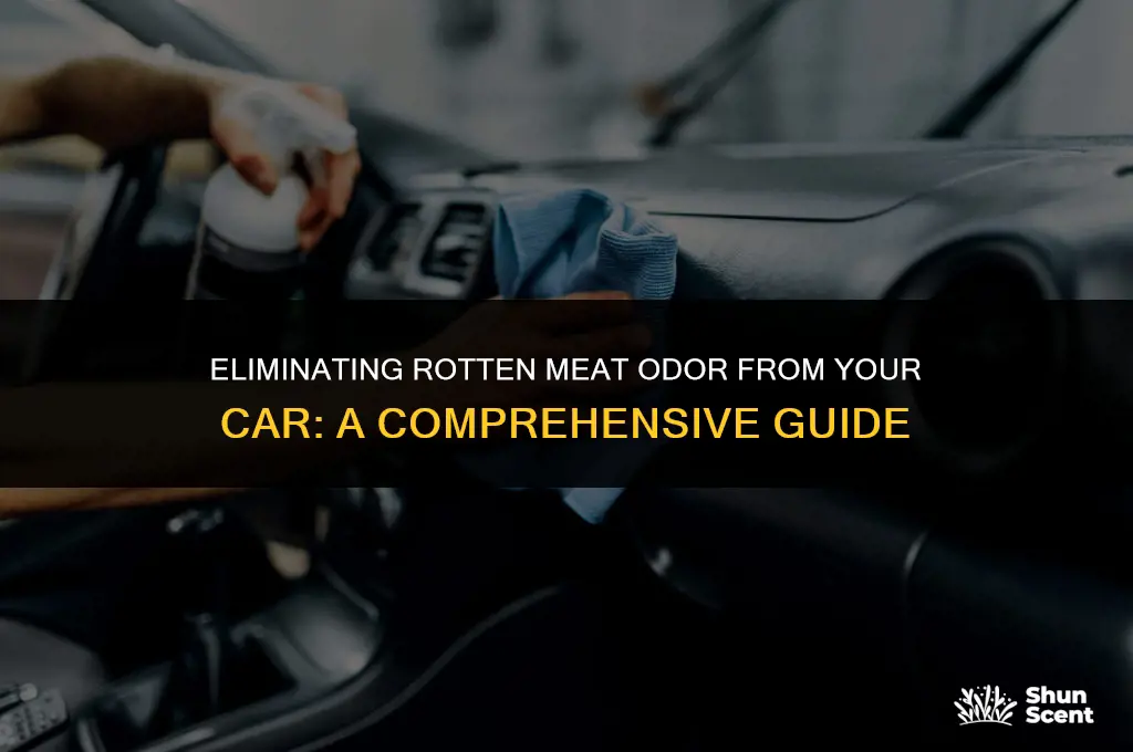 how to get rotten meat odor out of car
