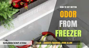 Banish That Funky Smell: A Guide to Deodorizing Your Freezer