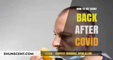 Regaining Your Sense of Smell: Post-COVID Recovery Tips and Tricks