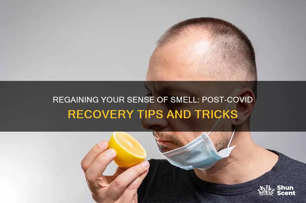 how to get scent back after covid