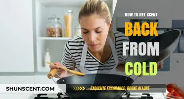Regain Your Sense of Smell: Effective Tips After a Cold