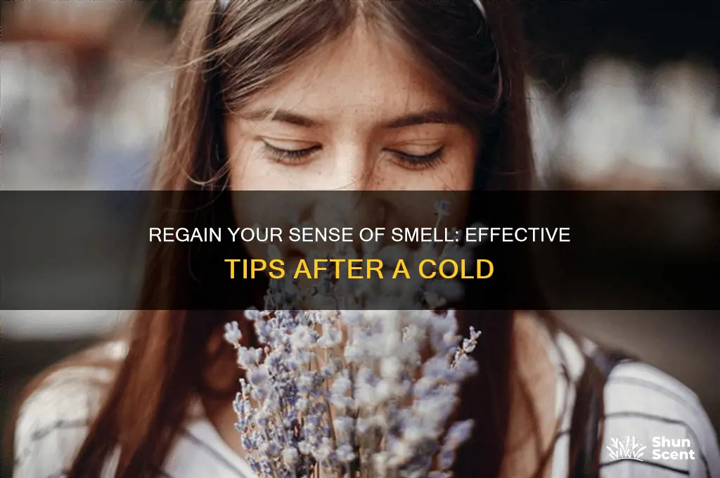how to get scent back from cold