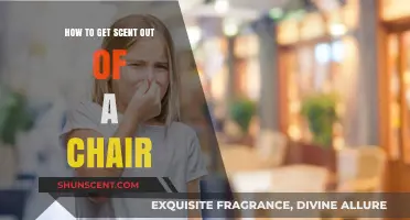 Effective Ways to Remove Stubborn Odors from Your Chair