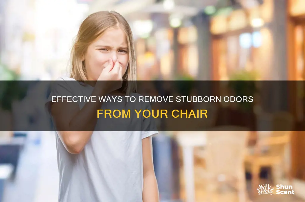 how to get scent out of a chair