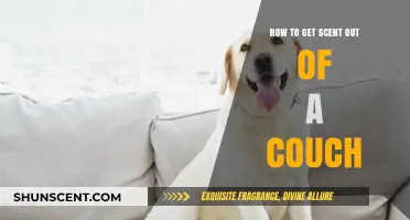 Effective Ways to Remove Stubborn Scents from Your Couch