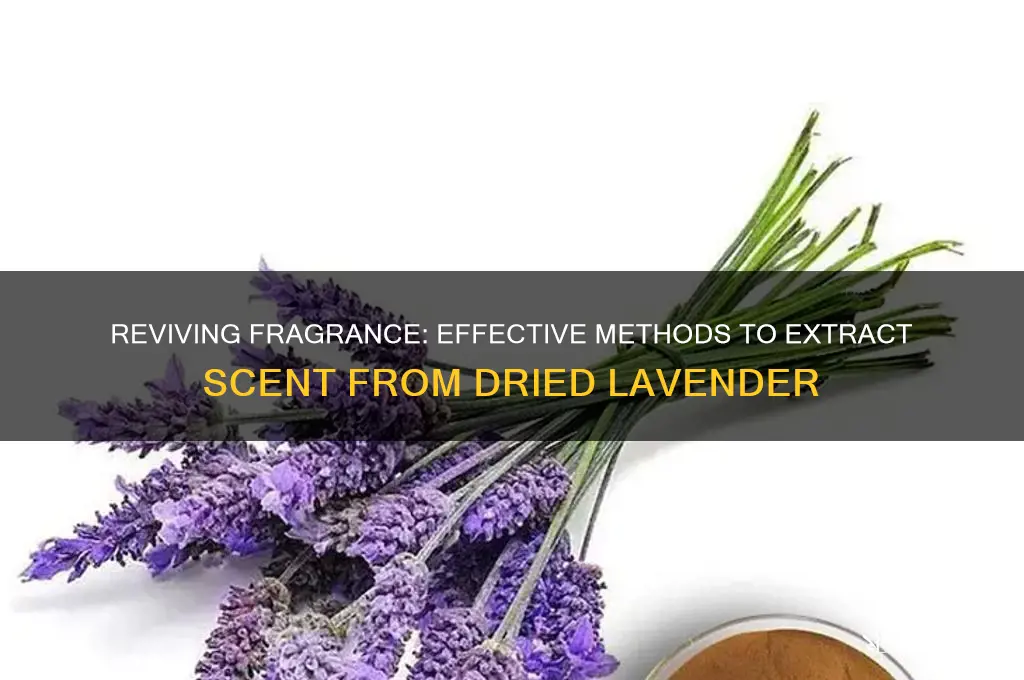 how to get scent out of dried lavendar