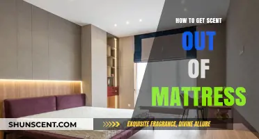 Effective Ways to Remove Stubborn Scents from Your Mattress