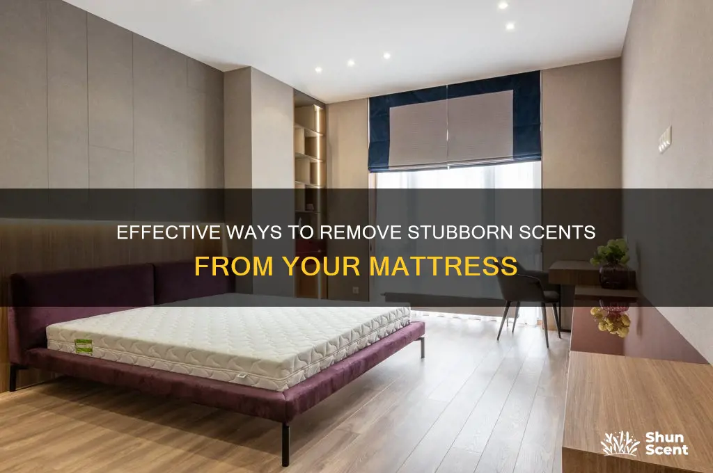 how to get scent out of mattress