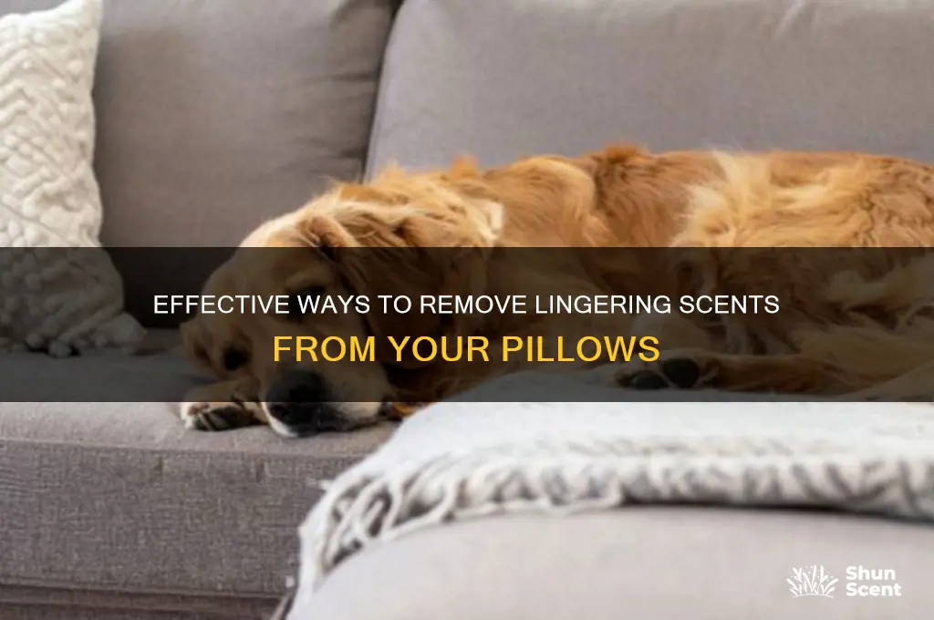 how to get scent out of pillows