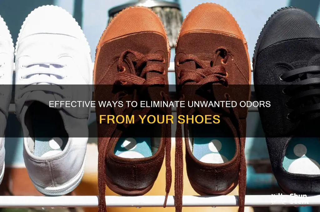 how to get scent out of shoes