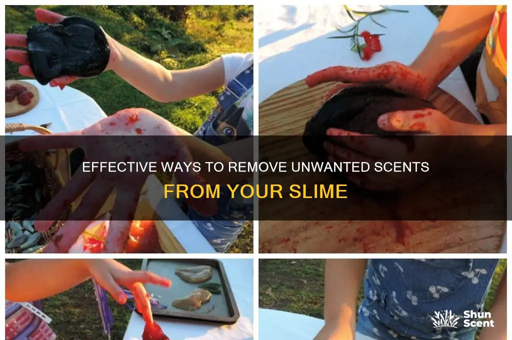 how to get scent out of slime