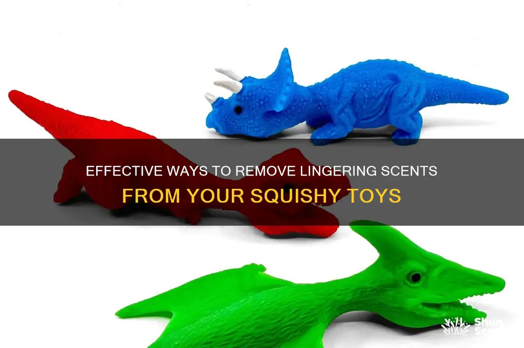 how to get scent out of squishy
