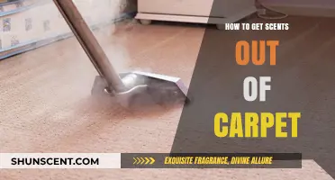 Effective Ways to Remove Stubborn Scents from Your Carpet